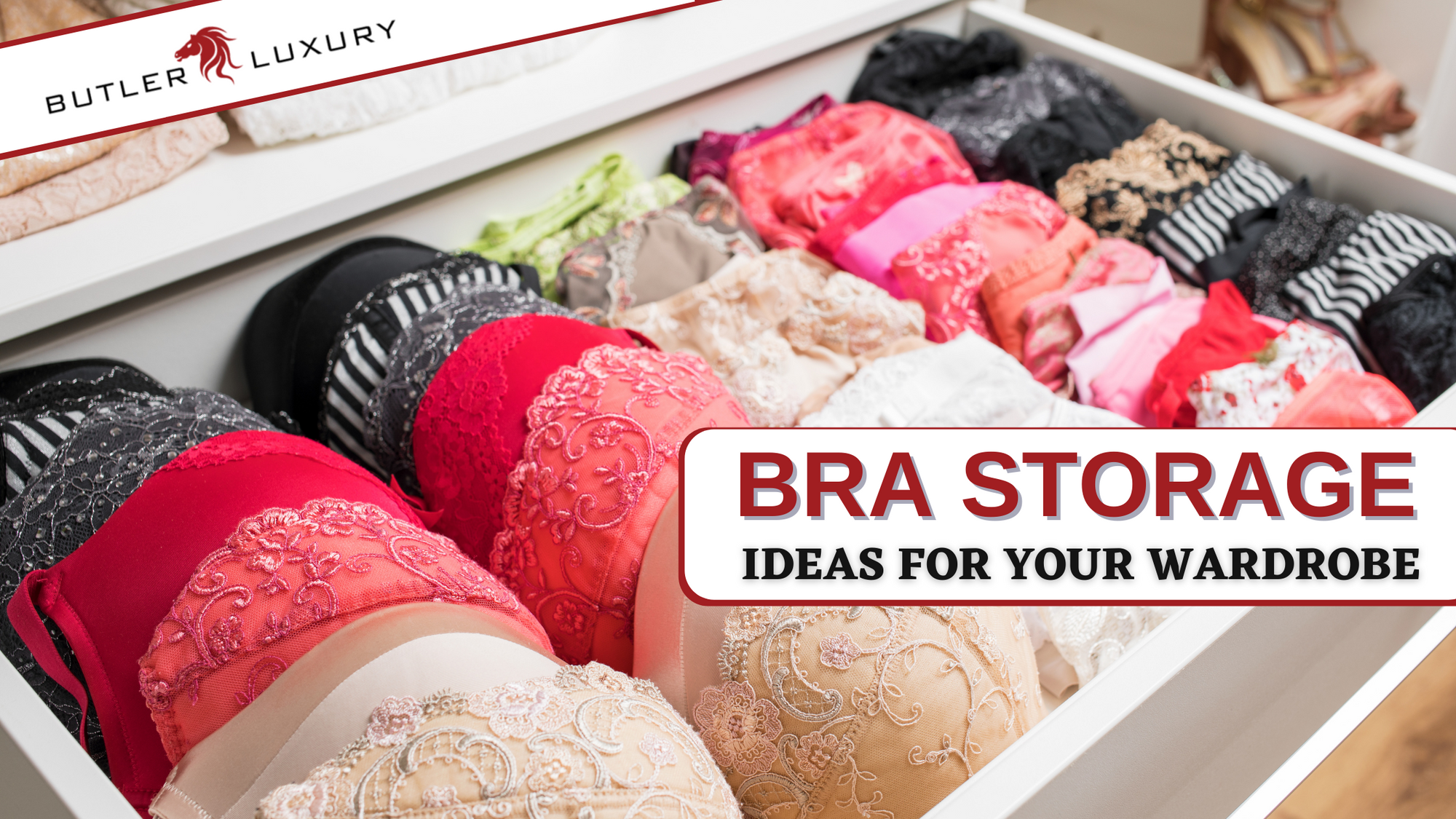 Bring Order to Your Intimates With These Five Bra Storage Ideas